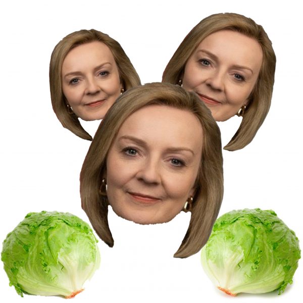 Elizabeth Liz Truss Face Mask A4 Fancy dress - Image 2